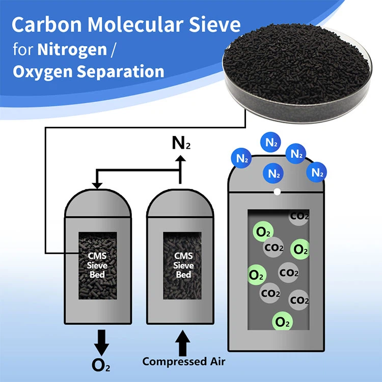 cms-2-1 cms-2-1